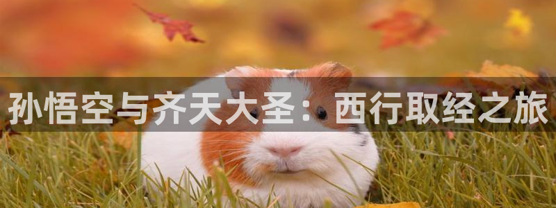漫蛙I：孙悟空与齐天大圣：西行取经之旅