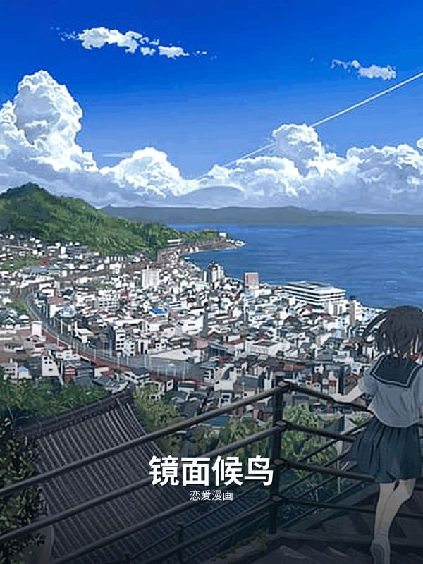 镜面候鸟封面