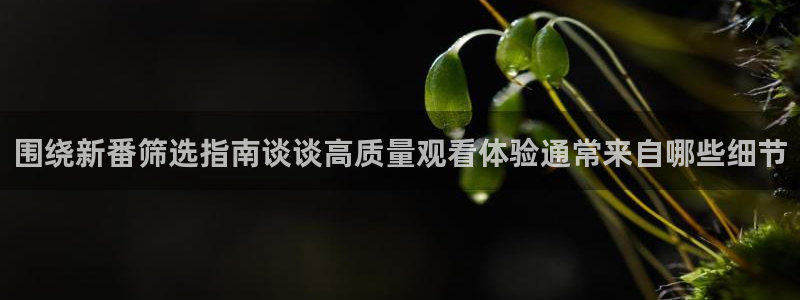 漫蛙I：围绕新番筛选指南谈谈高质量观看体验通常来自哪些细节