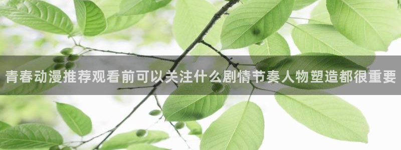 蛙趣漫：青春动漫推荐观看前可以关注什么剧情节奏人物塑造都很重要