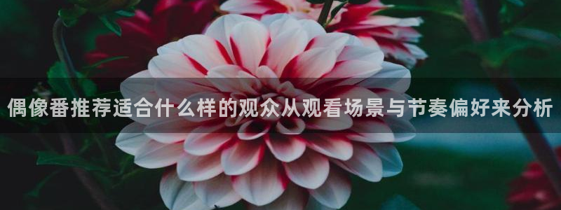 漫蛙漫画