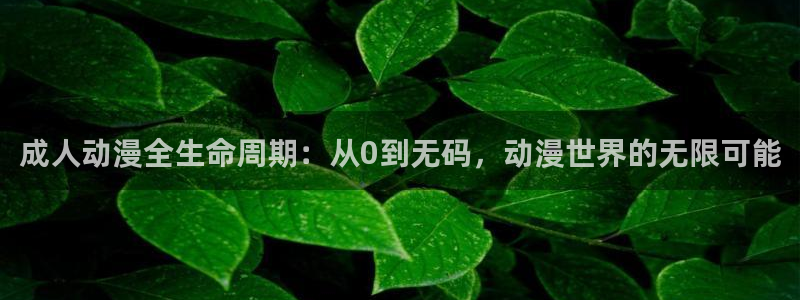 像漫蛙：成人动漫全生命周期：从0到无码，动漫世界的无限可能