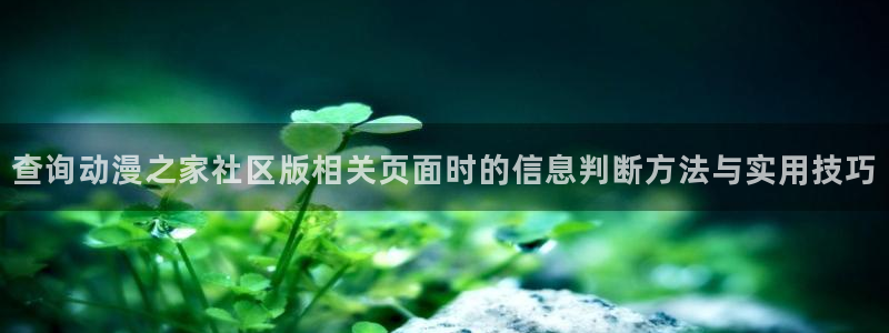 漫蛙蛇：查询动漫之家社区版相关页面时的信息判断方法与实用技巧