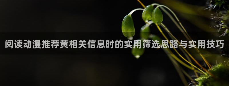 漫蛙漫