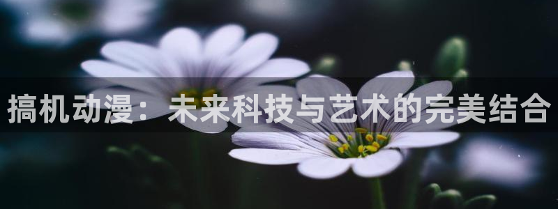 漫蛙号