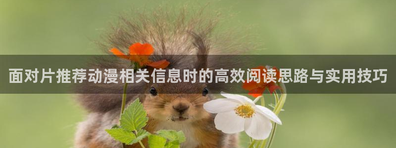 蛙漫看
