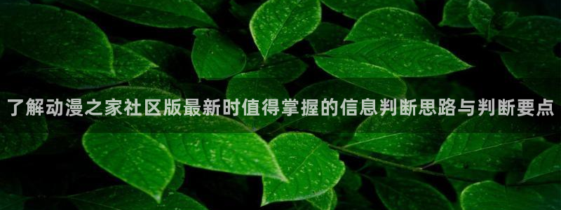 漫蛙会
