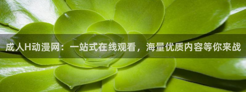 漫展蛙：成人H动漫网：一站式在线观看，海量优质内容等你来战